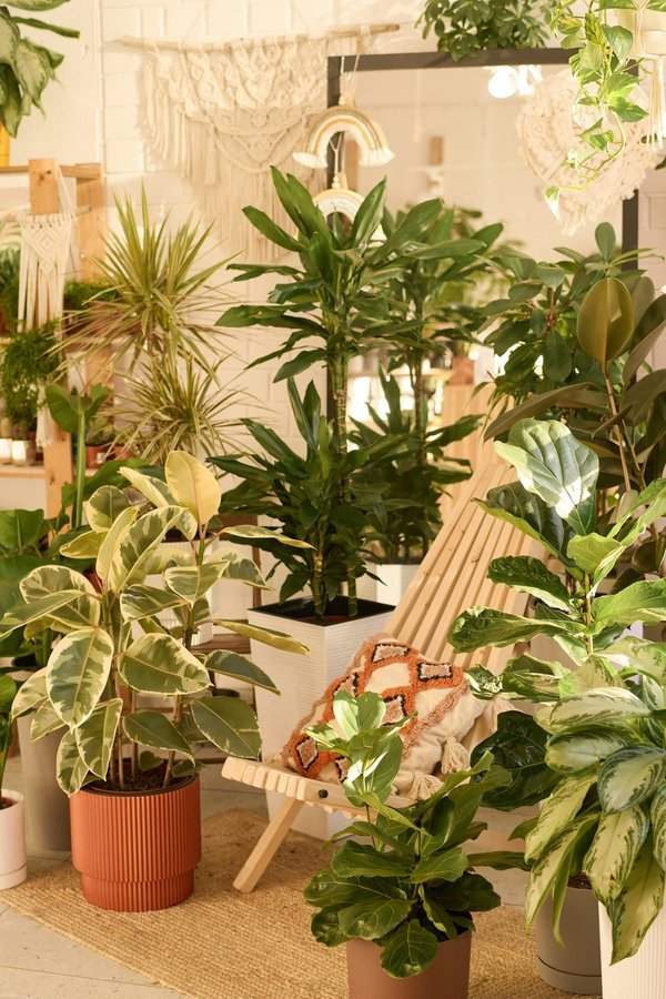 How to Integrate Biophilic Design in UK's Office Spaces?